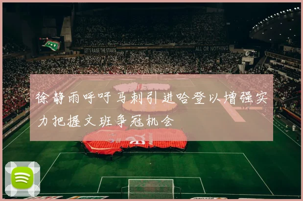 徐静雨呼吁马刺引进哈登以增强实力把握文班争冠机会