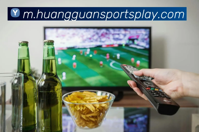 多媒体互动体验